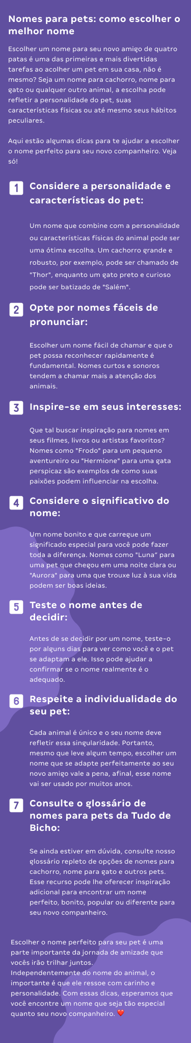 Como escolher nome pet - Mobile