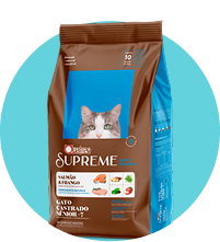 Banner Rações secas