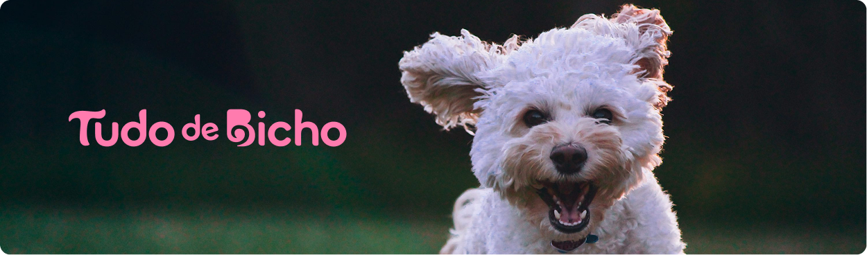 Tudo de Bicho - Institucional