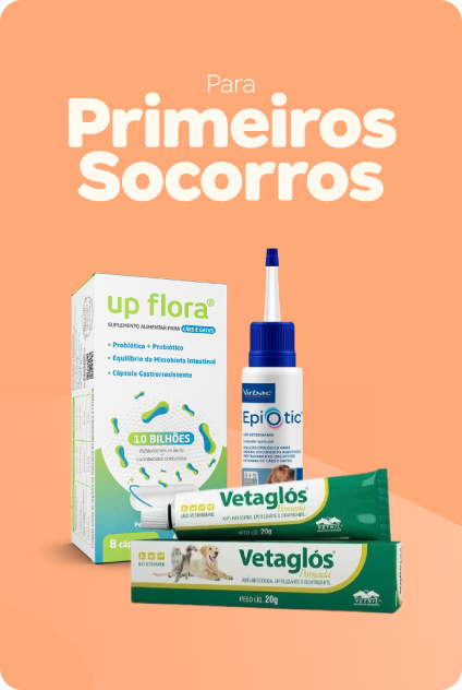 Primeiros socorros
