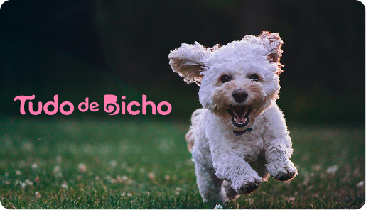 Tudo de Bicho - Institucional Mobile