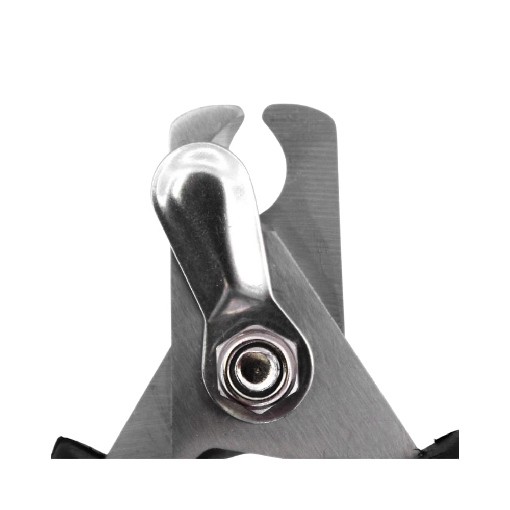 image_d36020e4-da92-4e4f-9c98-03a34aae1524