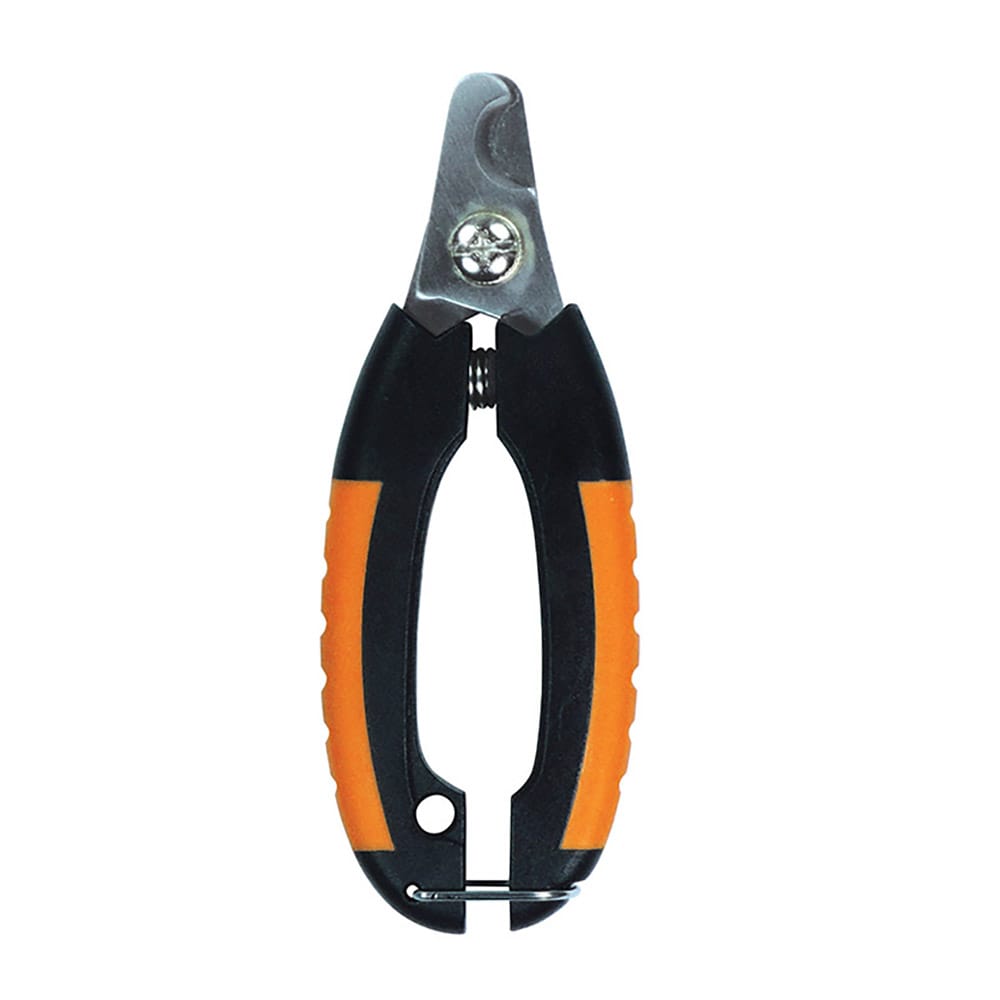 image_ec484c7f-66be-4c62-a4b7-fb0e2f509e80