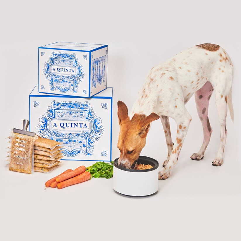 Product main image - 58c40902-63e4-4bd2-8d87-5ea97b592eff