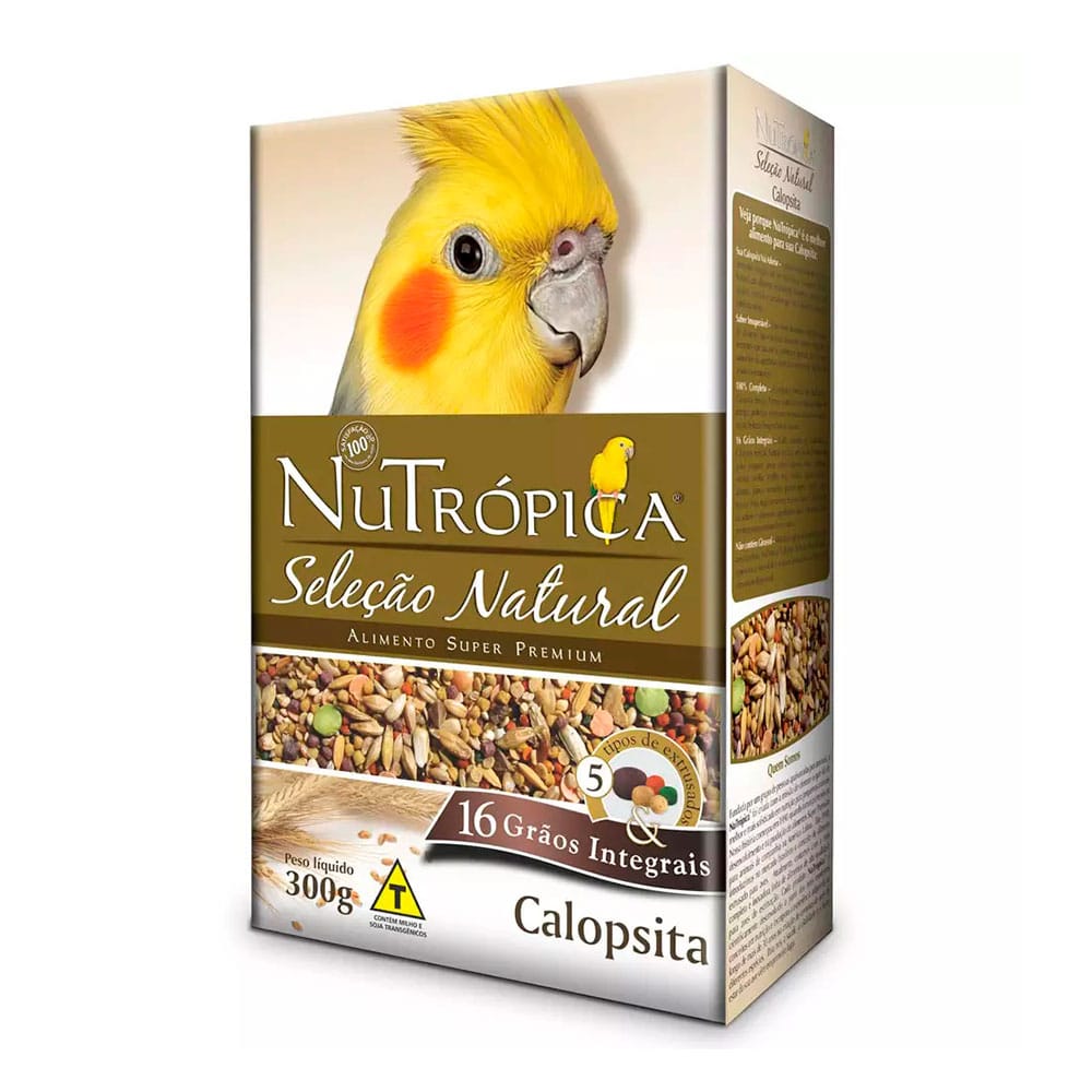 image_8e78712f-418a-4a81-a8e6-ea88b7ed01f9