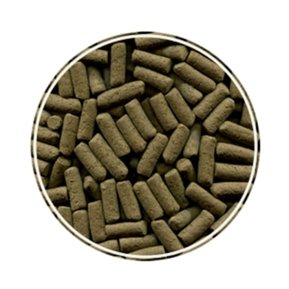 image_6fc65787-db9a-4e75-a351-236a06024a1c