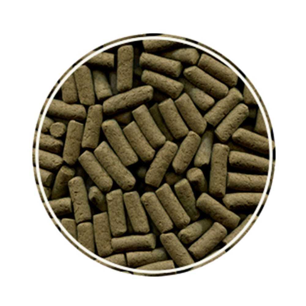 image_fb39c521-0cea-4436-b1fc-0dd5182f7b6c