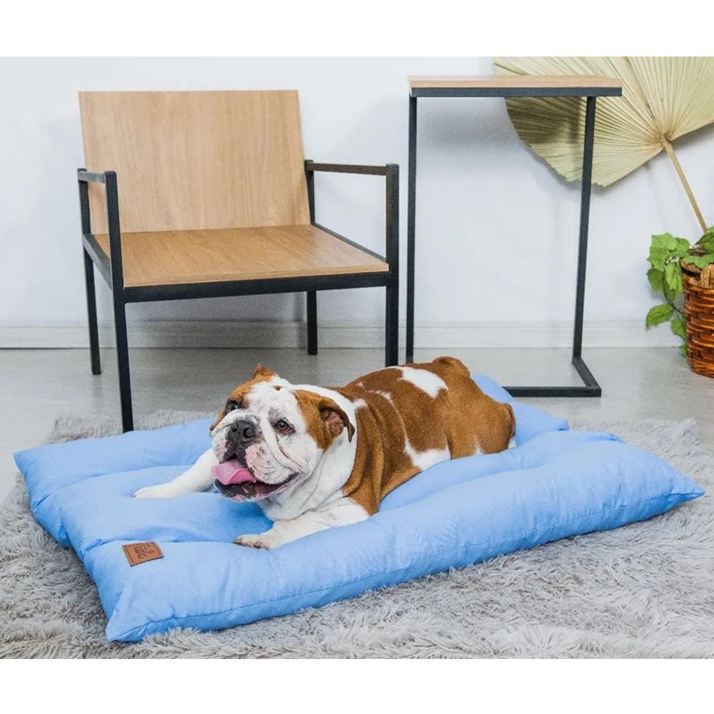 image_0fc2a0e8-6325-4284-becd-01994d6c9ce4