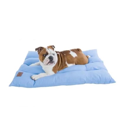 image_2ea85349-ad98-46a1-8a14-de37fcdb1cd6