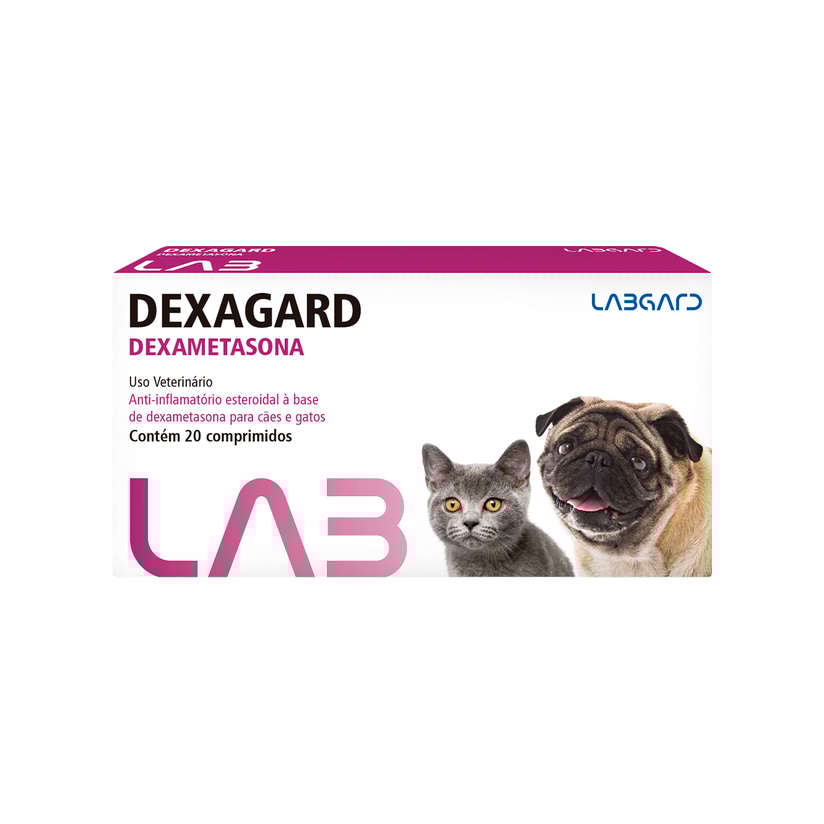 Product main image - dd7df42d-ce60-47ee-a1a5-bc0b677ff81a