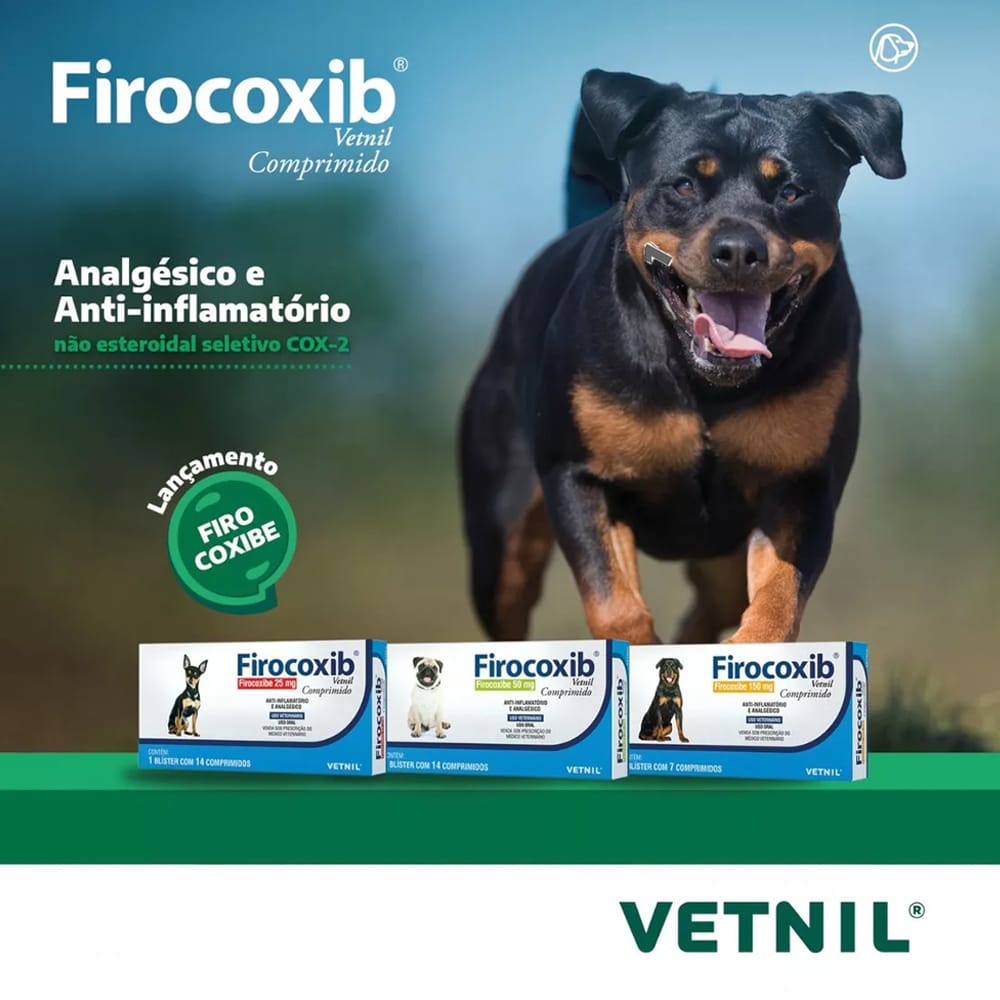 image_488582ab-2e06-4821-b59a-bb90be75dacc