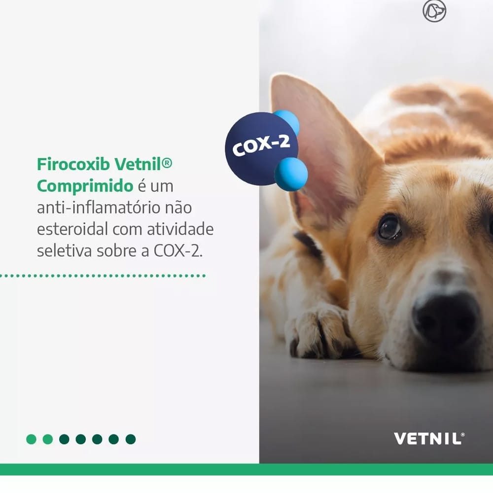 image_92fabf5d-e12d-4495-868a-a691eaa7f578