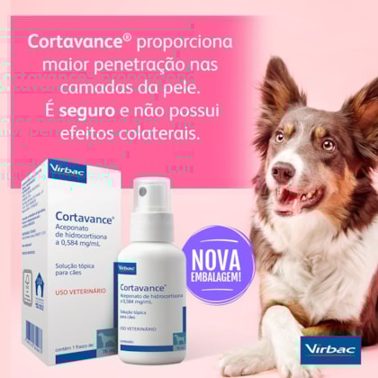 image_5392ce47-6e68-415f-959f-93b7ffad17c1