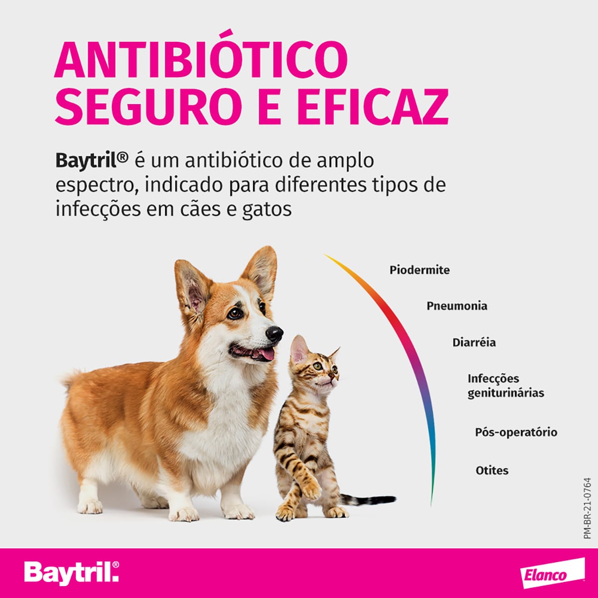 image_b47832af-4c4a-484a-a950-655836576598