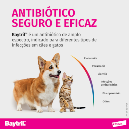 image_2b4f5f16-3bfc-41d0-9d42-6c2e28a810e0