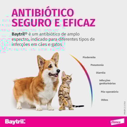 image_c5071d5d-4ddd-47ec-b9e1-5afab50d1305