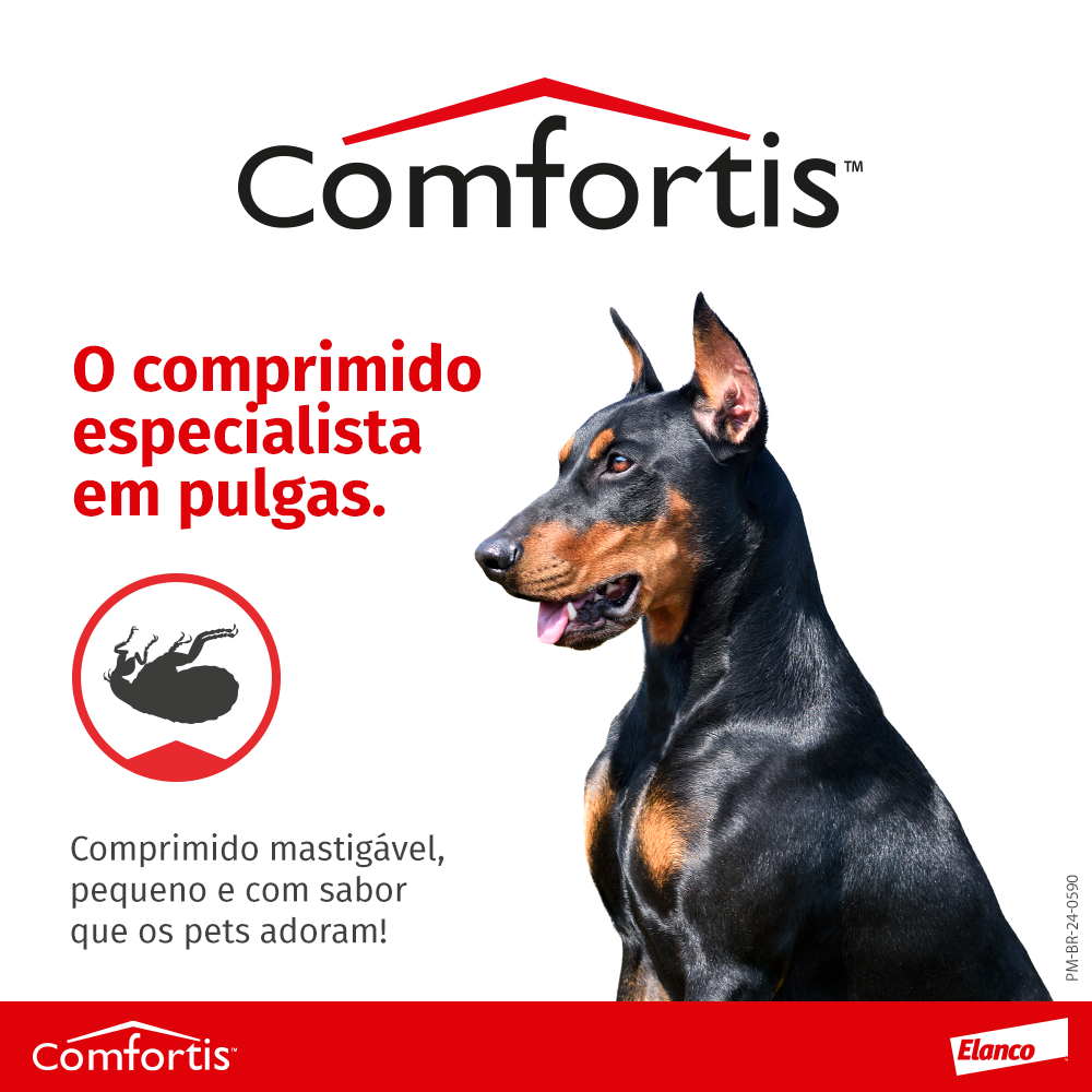 image_cd734845-d881-4414-98ea-30366070fbb9