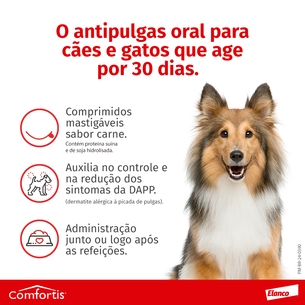 image_7fa11610-4d2f-4b84-8970-927772b2fc45