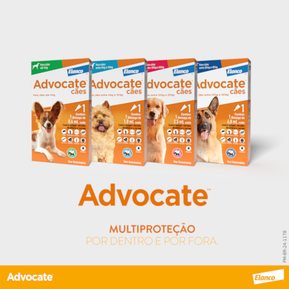 image_ace08823-aa4a-48c5-9202-cf8f71493e24