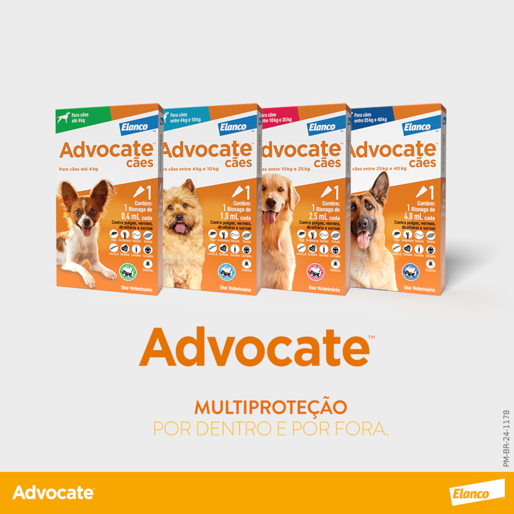 image_89266023-12f4-47cd-963b-55733ed35a9b