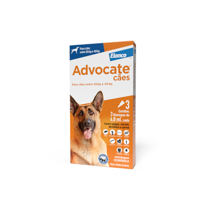 image_07854107-1ac7-44d6-8ff4-ff921b98eabc