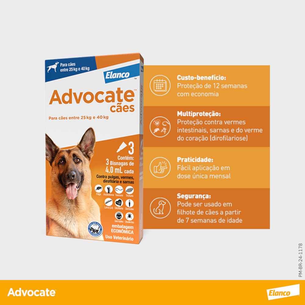 image_ab1a6104-e9cd-41d0-b516-a07027fd84df