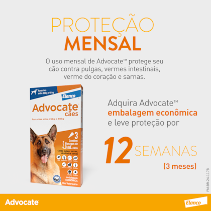 image_13414db7-f7fd-4f12-b34a-47b6d7b185f8