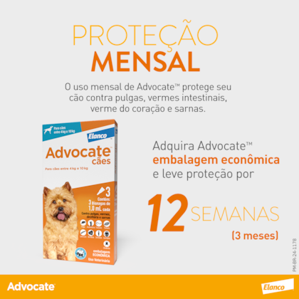 image_d69d606f-f2f4-40a5-959b-55d3f3c8b282