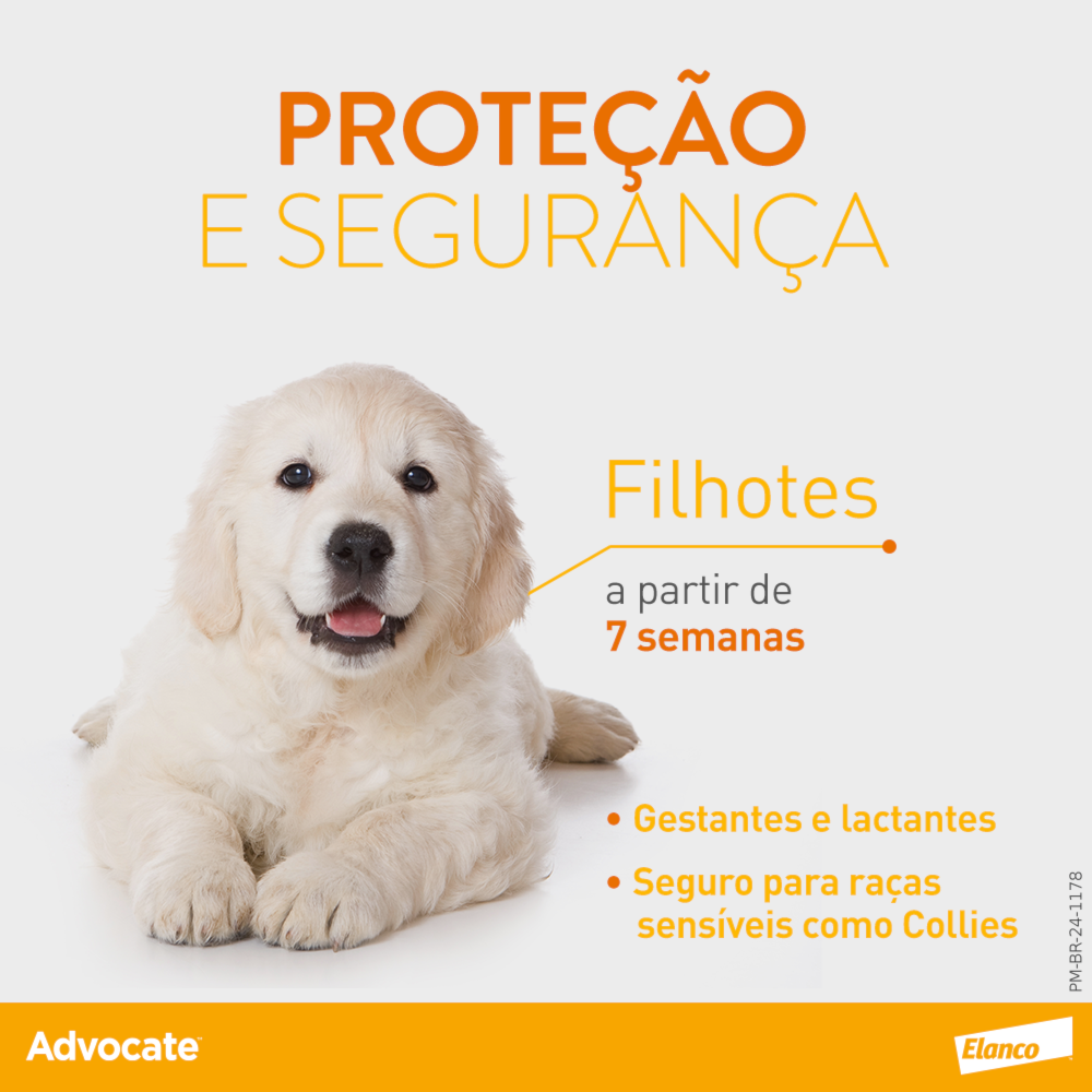 image_aa957f42-51f2-4c62-b281-db1efcce06eb