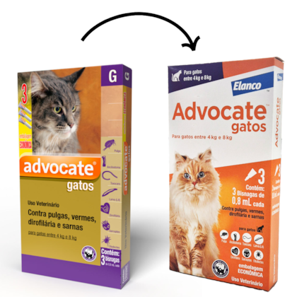 image_b194ec76-1a93-425d-94b7-ee472b411c2d