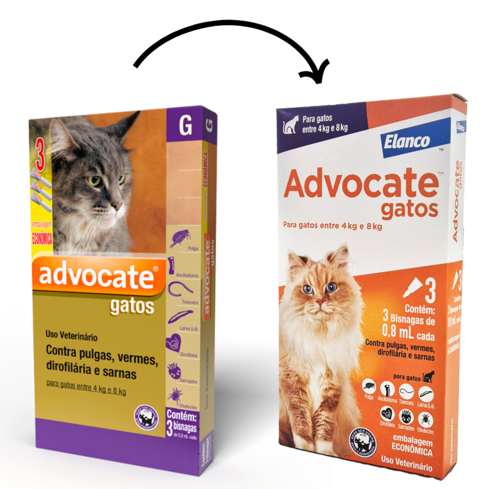 image_65744b7e-6b54-4f27-87d3-343bc731e020