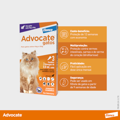 image_f298e978-885b-4be1-8756-6482f01a5b92