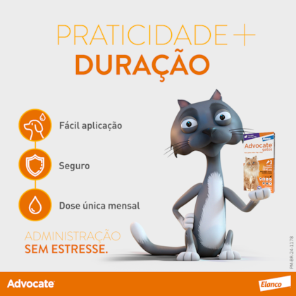 image_db64a003-feec-4c54-85fa-757043831d90