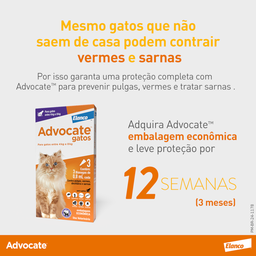 image_aad3f8af-8eaa-4f76-96e1-a30ba77adc32