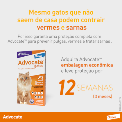 image_42a318da-b956-4182-a8a5-a9227f31bab3