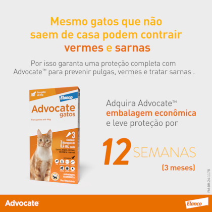 image_0177edd0-faee-4f1f-bfcc-12c117c997c7