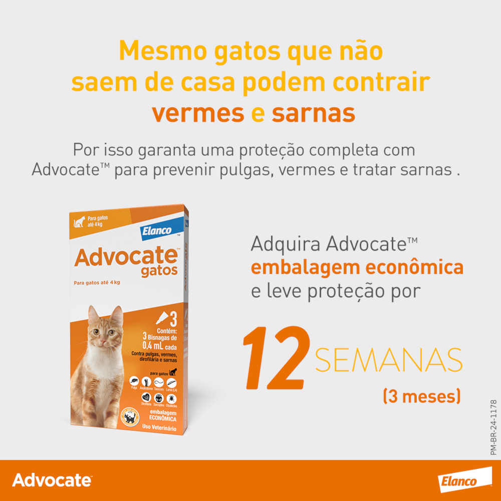 image_b307d746-4fd1-495b-903e-265de304d17f