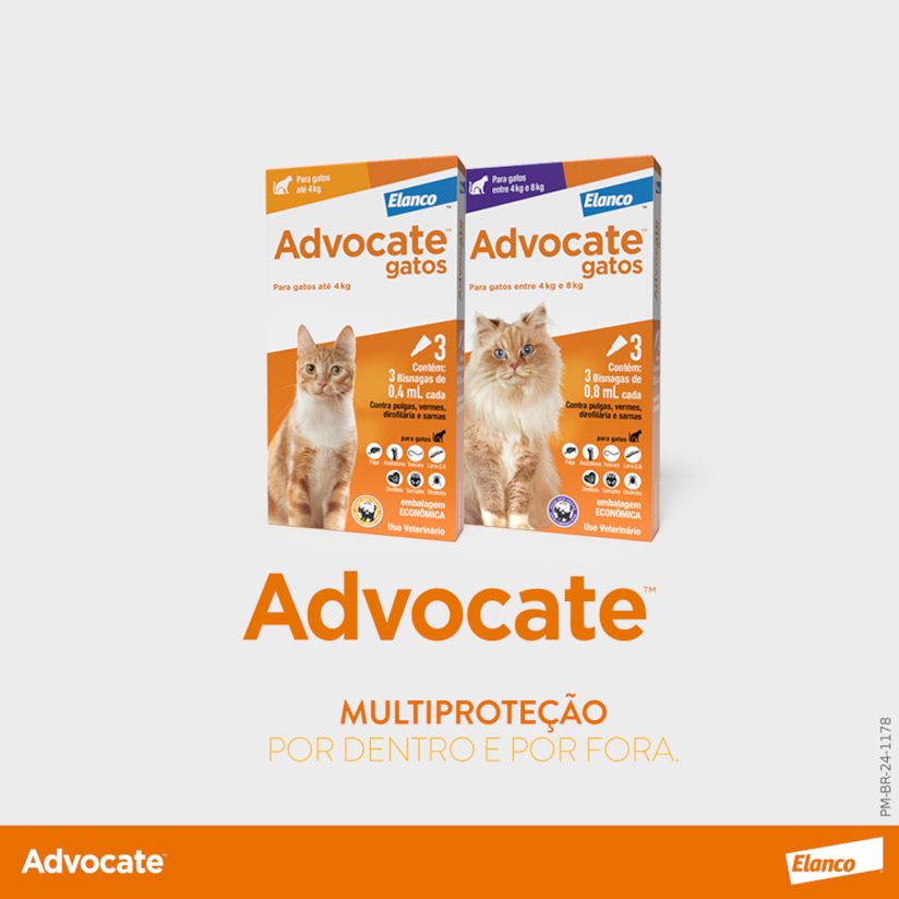 Product main image - 20c010cb-1e8d-4ac1-abd1-3829081bf6d2