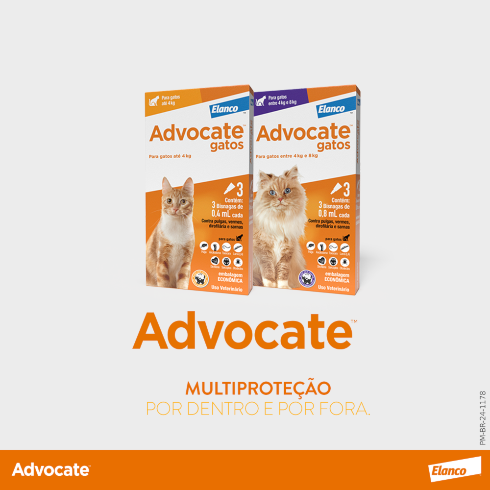 image_37136ca3-8e40-472b-bd4a-0123e85ff93f