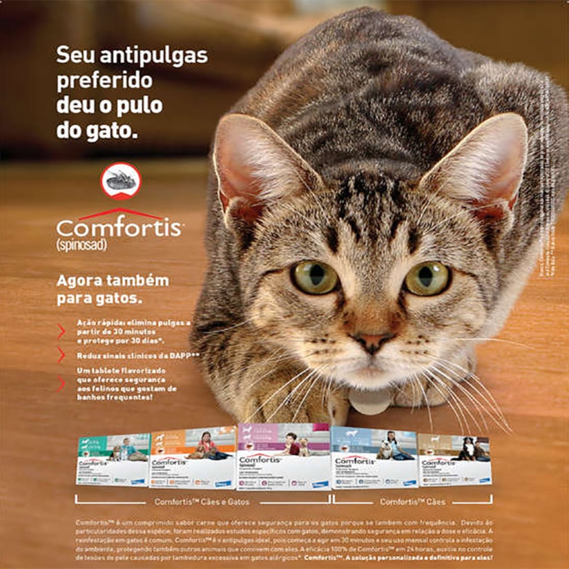 Product main image - 1e853bf7-1f8f-42d6-9da4-9b6586716aa2