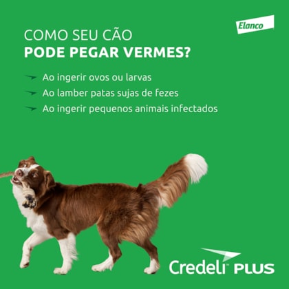 image_01114882-9bcd-4d95-9477-2ddf2564283e