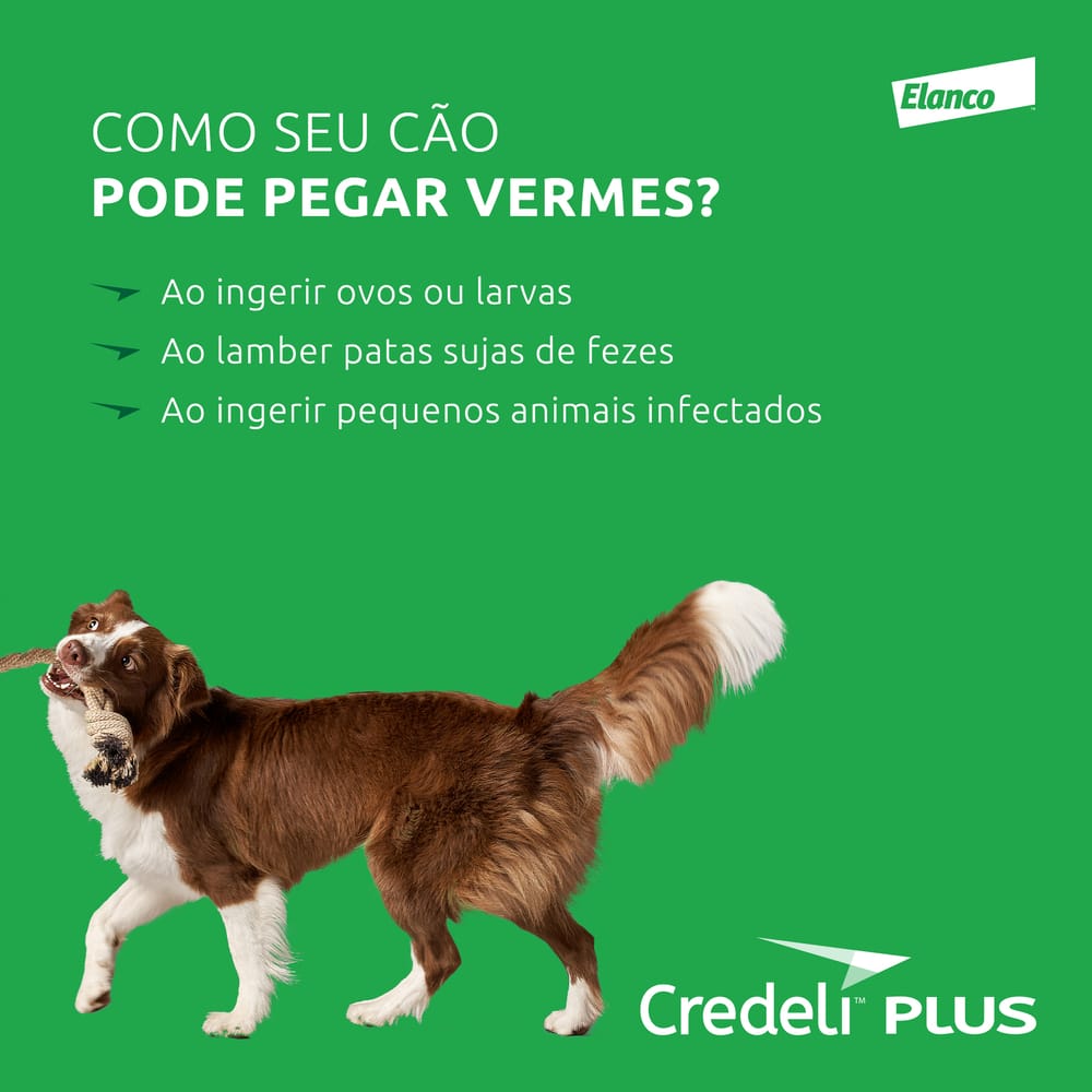 image_5dd6a94d-81ef-49af-bd8d-90e7ff2b1d4c