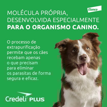 image_6cf6d86c-897d-46d2-b68c-2e77445aeeb3