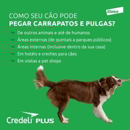 image_04753ce5-9ee7-4907-8620-db0a997c4be6