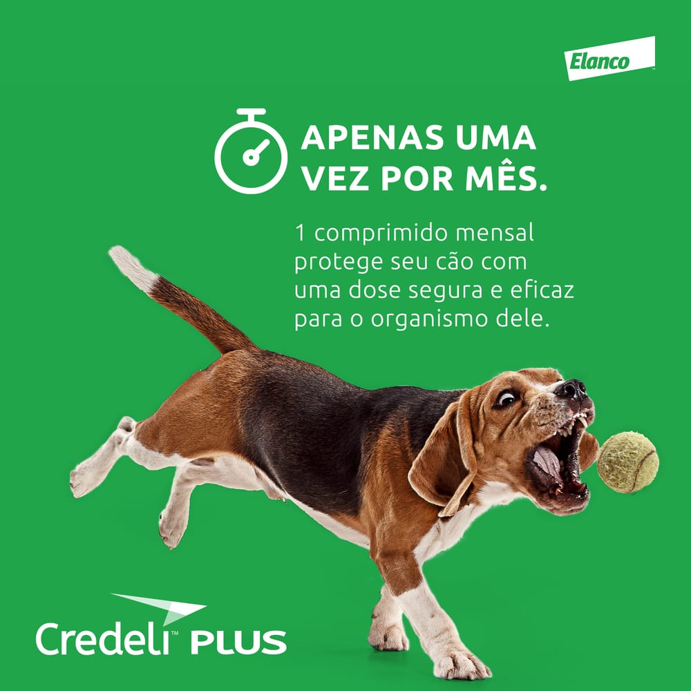 image_2cfec978-66fc-4a6d-9d57-b95fefb73b2a