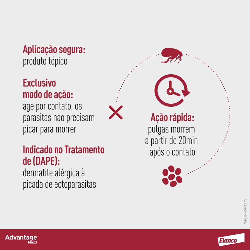 image_a66e0225-e8dd-4543-a0f8-21d5f5c616c1