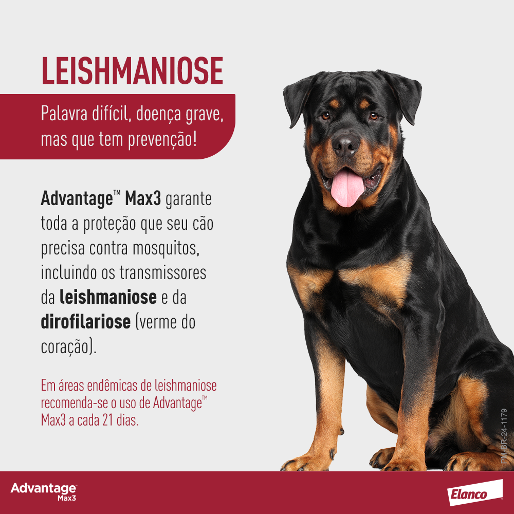 image_4b105a5f-5cc4-4dce-969e-986985e81c09