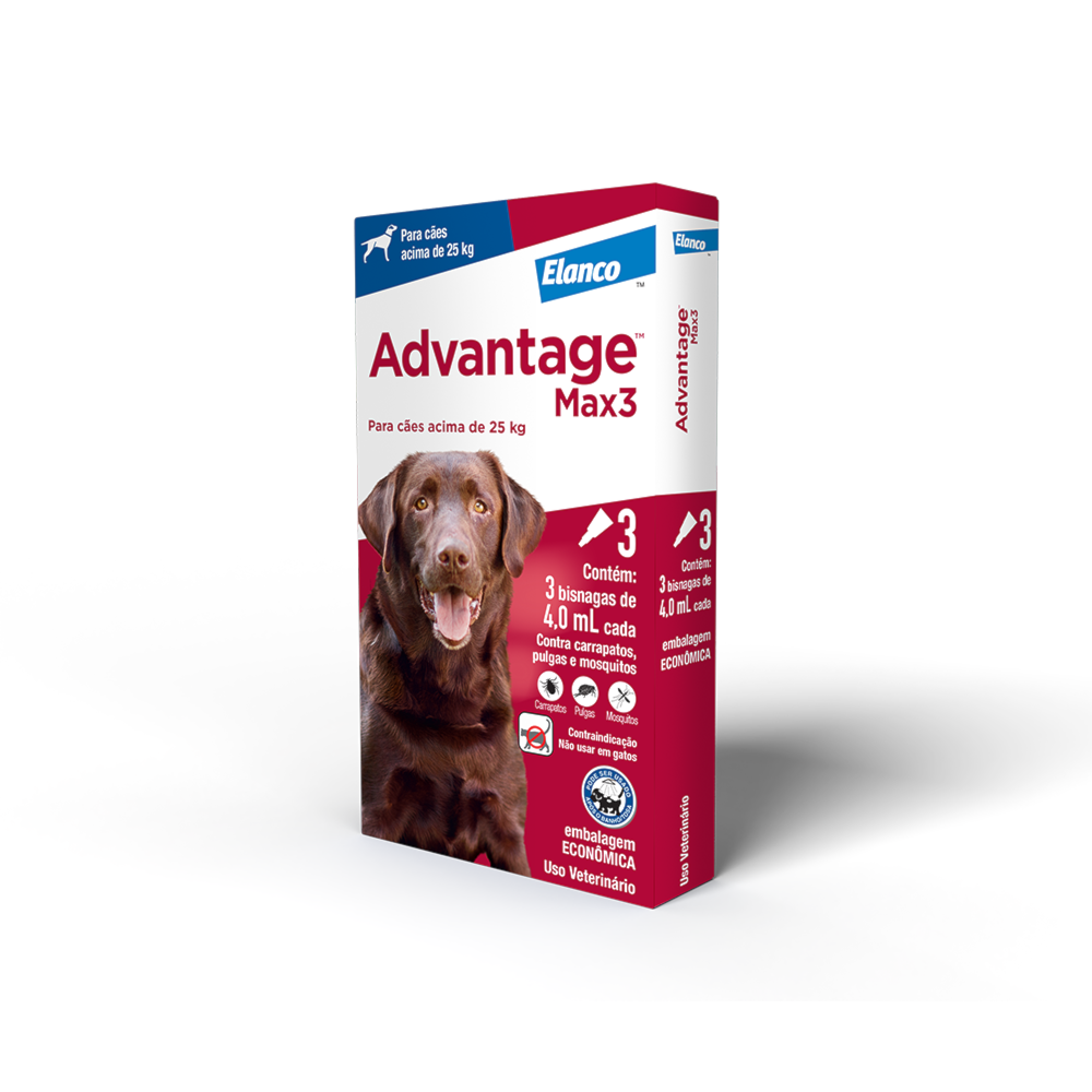 image_a9ff2945-12c2-4714-b371-d784bd78b248