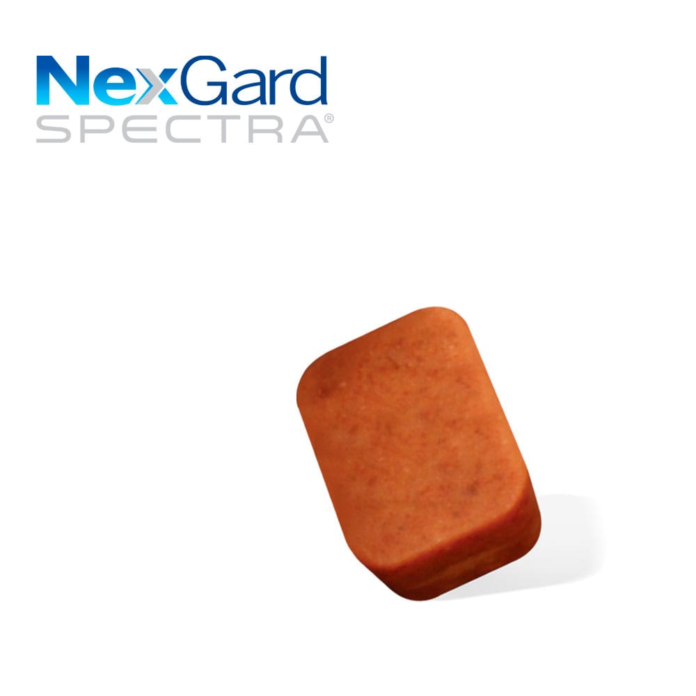 image_71f86d39-fd30-464c-b33c-56e4466ecbd4