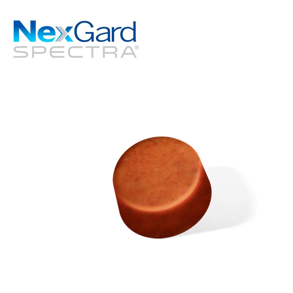 image_553da1ff-821d-49d7-9c05-c11d71d1e0ca